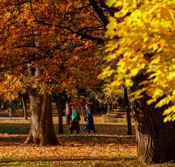 Vremea la Cluj