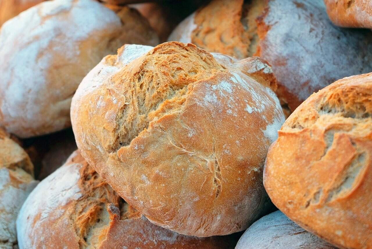 paine brutarie