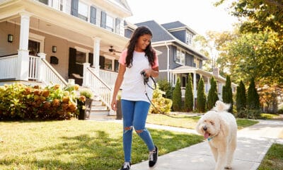 girl walking dog along suburban street