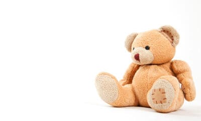 small brown teddy bear