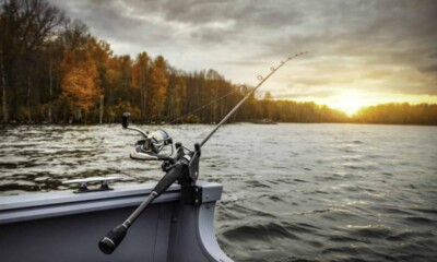 pescuit pescari pixabay