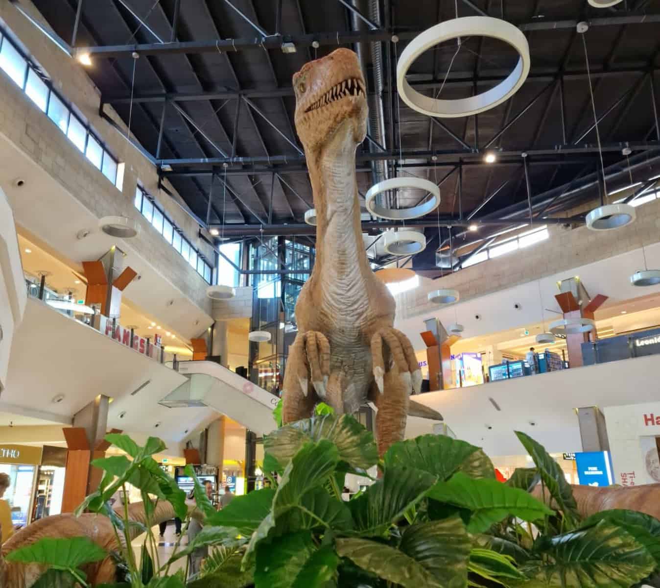 lumea dinozaurilor iulius mall cluj 03