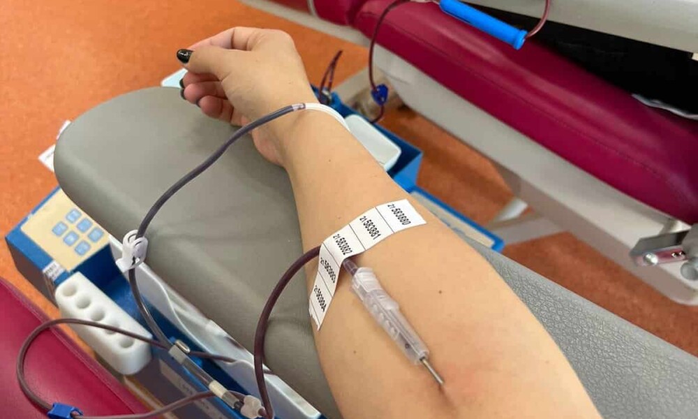 Professor Day Tick Campanie de donare de sânge la Gilău. Județul Cluj se confruntă cu o lipsă  acută de sânge - Cluj24.ro