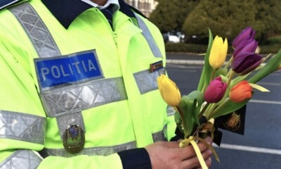 politia rutiera flori (6)