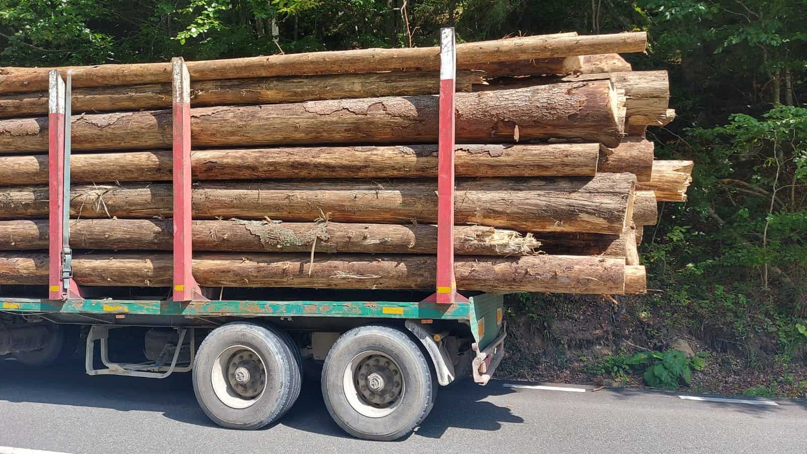 Aplicație transport lemn