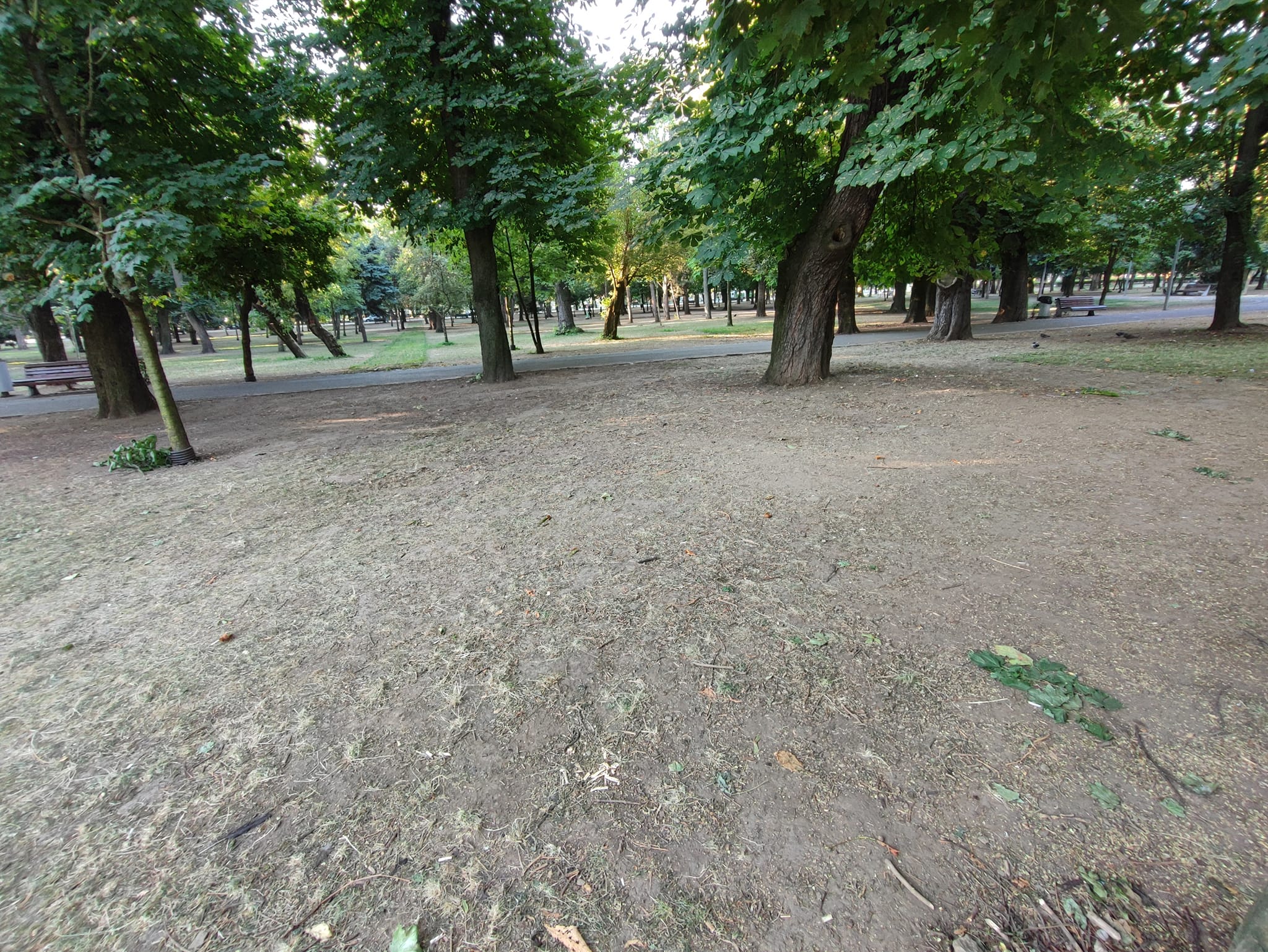 Parcul Central Cluj-Napoca după UNTOLD