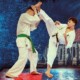 Kyokushin kan