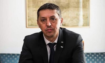 Daniel David, Ministerul Educației