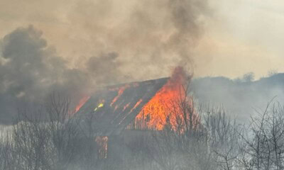 Incendii vegetație Cluj