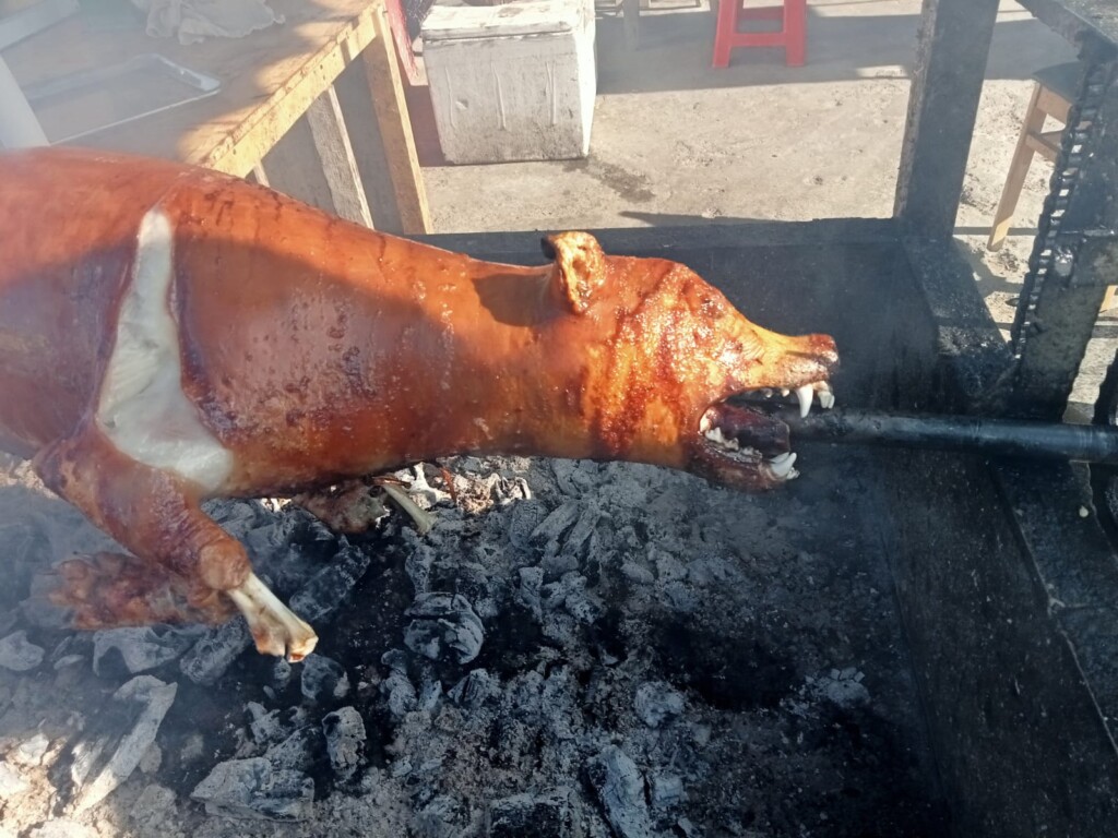 câine la proțap