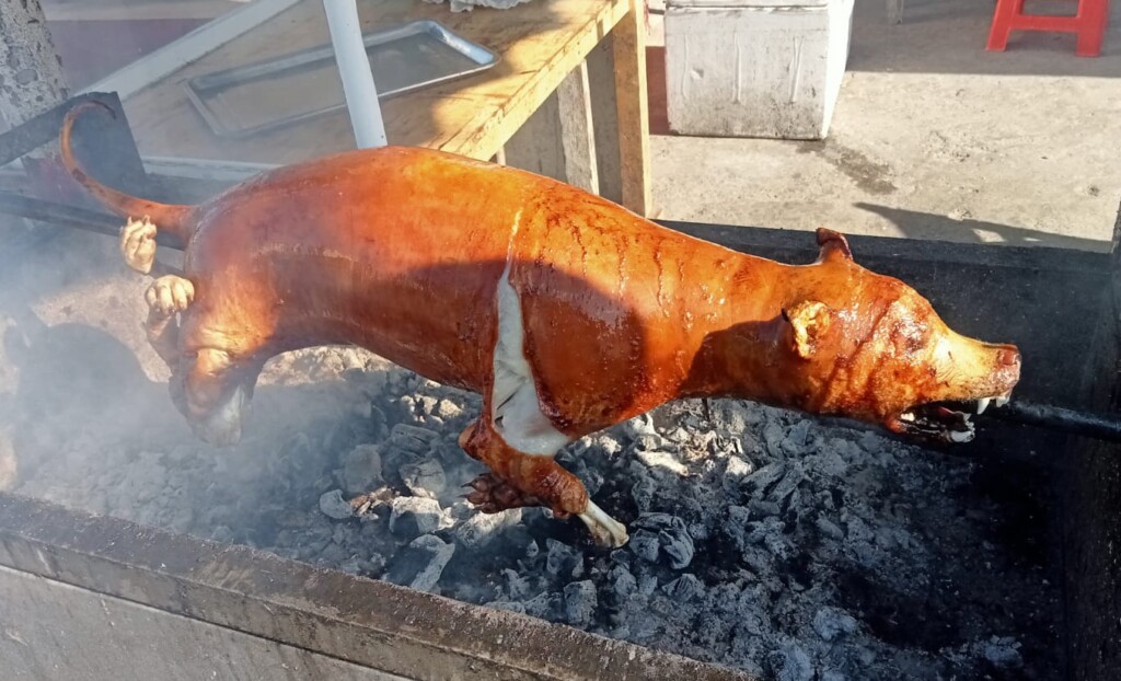 Câine la proțap